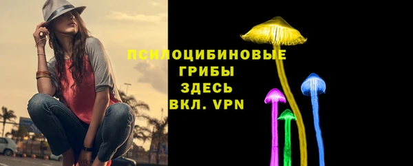 мяу мяу мука Арсеньев
