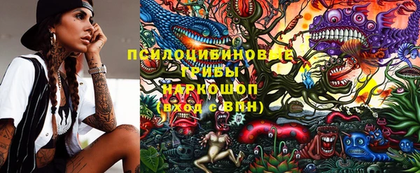 дурь Пестово