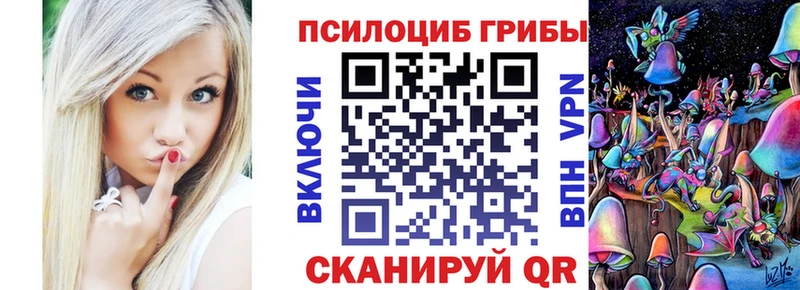 где купить наркоту  Черногорск  Псилоцибиновые грибы Magic Shrooms 